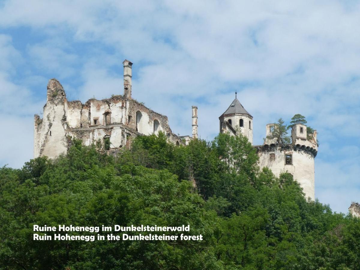 Gaestehaus Am Weinberg - Schlager Prinzersdorf Zewnętrze zdjęcie